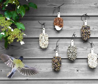 Desserts for Birds Crunchy Crunchy