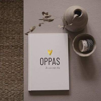 Boek Lifestyle2Love "Oppas"