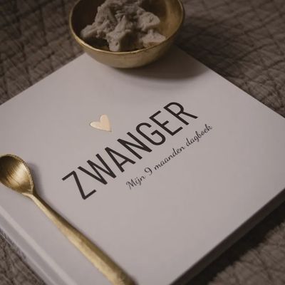 Boek Lifestyle2Love "Zwanger"