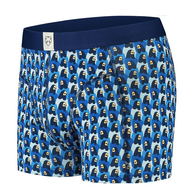 Boxer Brief Lenny