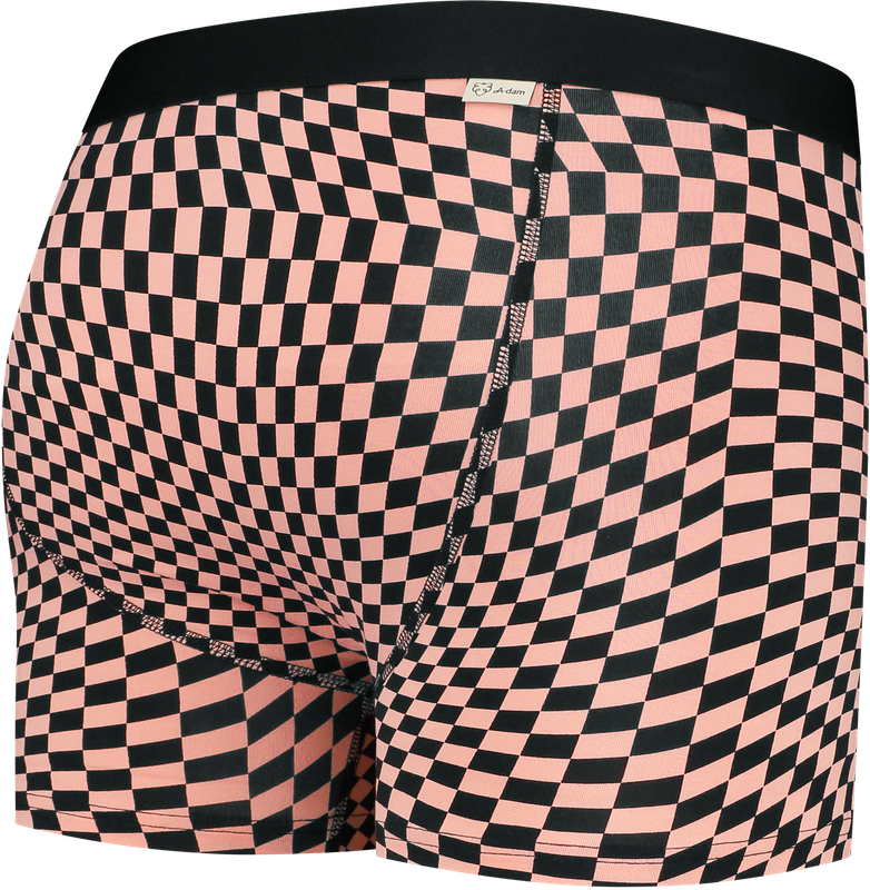 Boxer Brief Charlie Checker