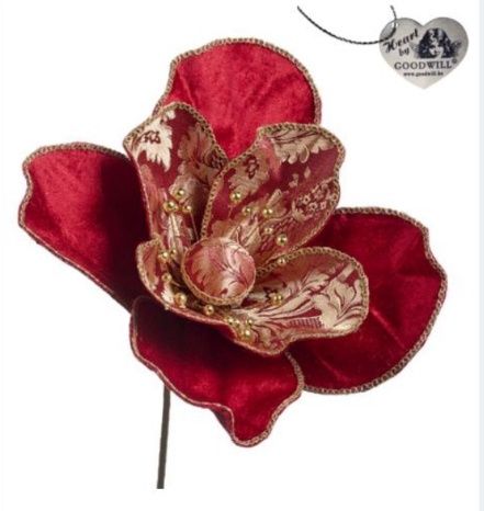 Broc. North Pole Magnolia on stem