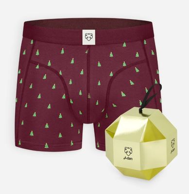 Giftbox Boxer Brief Burgundy Xmas
