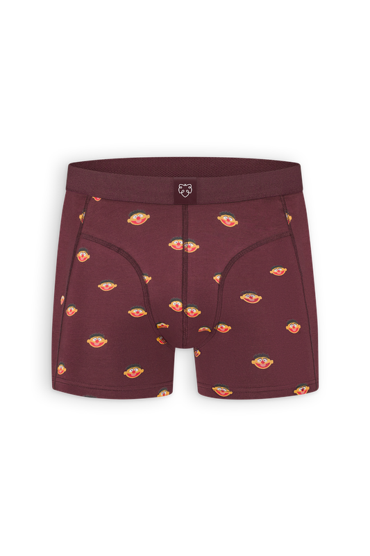 Boxer Brief Burgundy Ernie