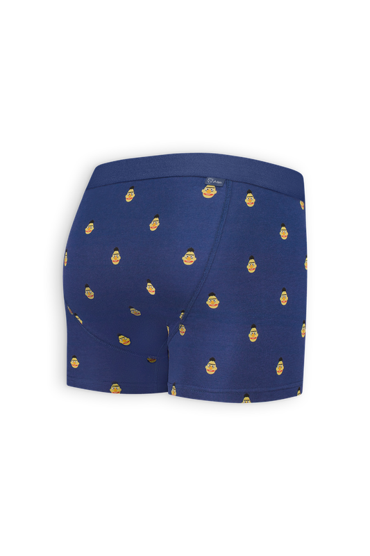 Boxer Brief Navy Bert