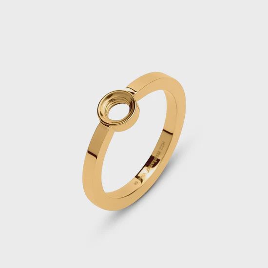 VI Vive Ring