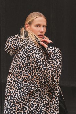 Sittingsuits - Snow Leopard