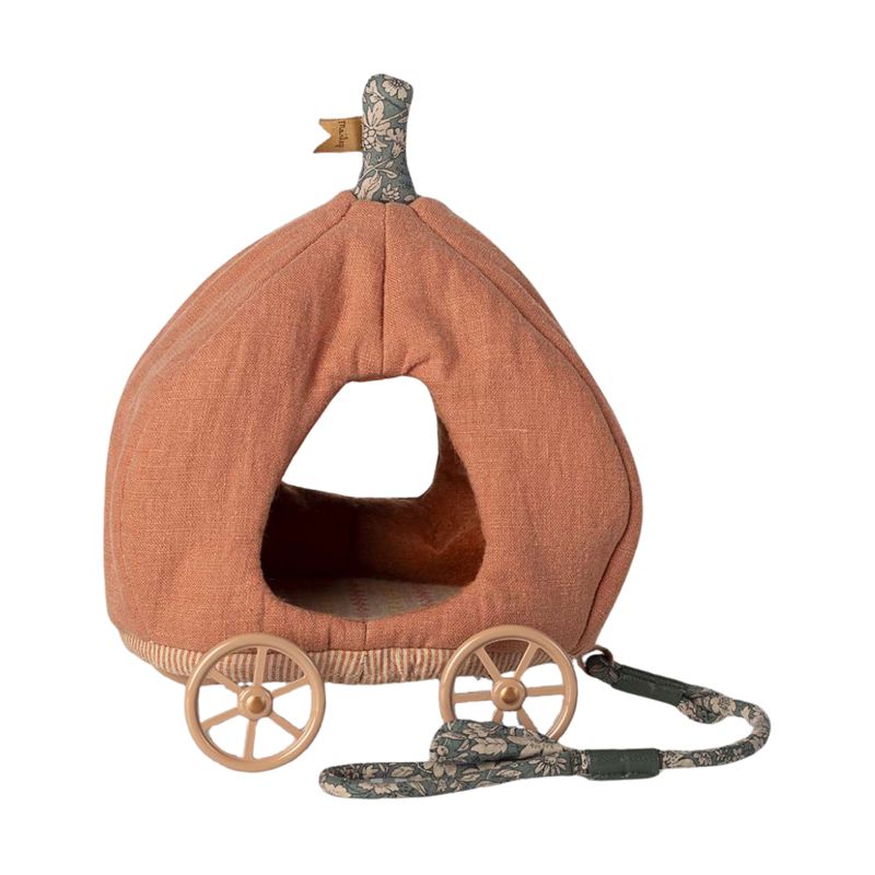 Pompoenkoets muisjes