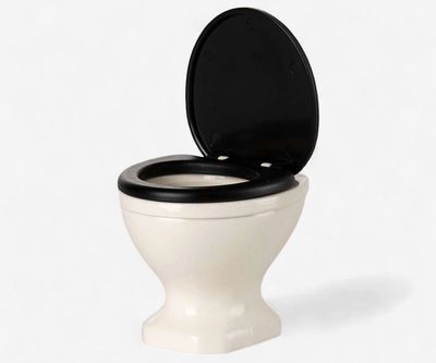 Toilet muis zonder spoelbak