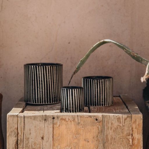 Bougie Zebre - Mandarine Majorelle