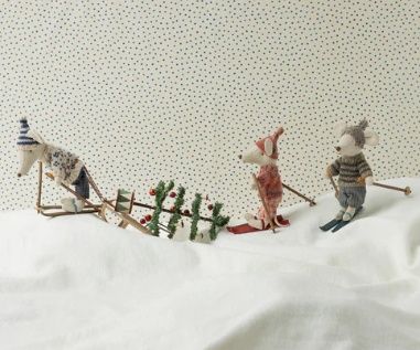 Winter muis ski - grote zus