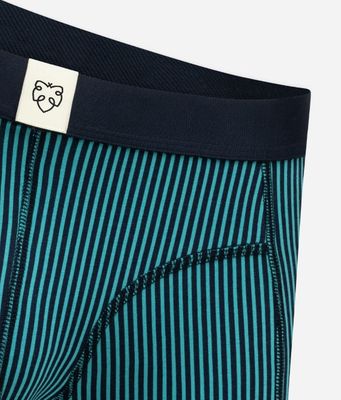 Boxer Brief - Navy Twotone Stripe