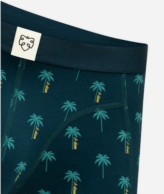 Boxer Brief - Blue A Dam Palms