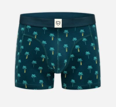 Boxer Brief - Blue A Dam Palms