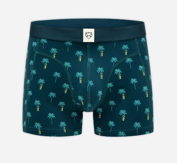 Boxer Brief - Blue A Dam Palms