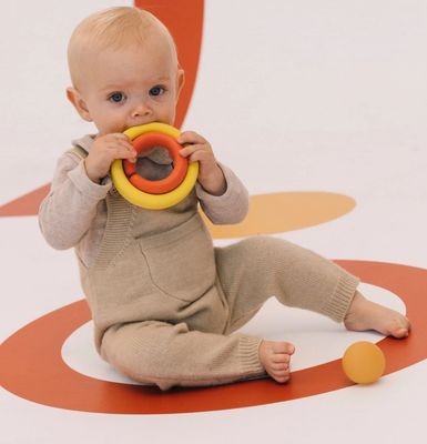 Evolutive Toy