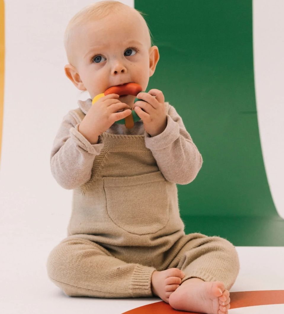Evolutive Teether