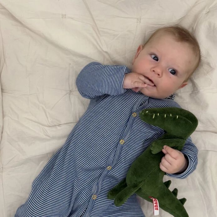 Adada Tony The Crocodile -  S