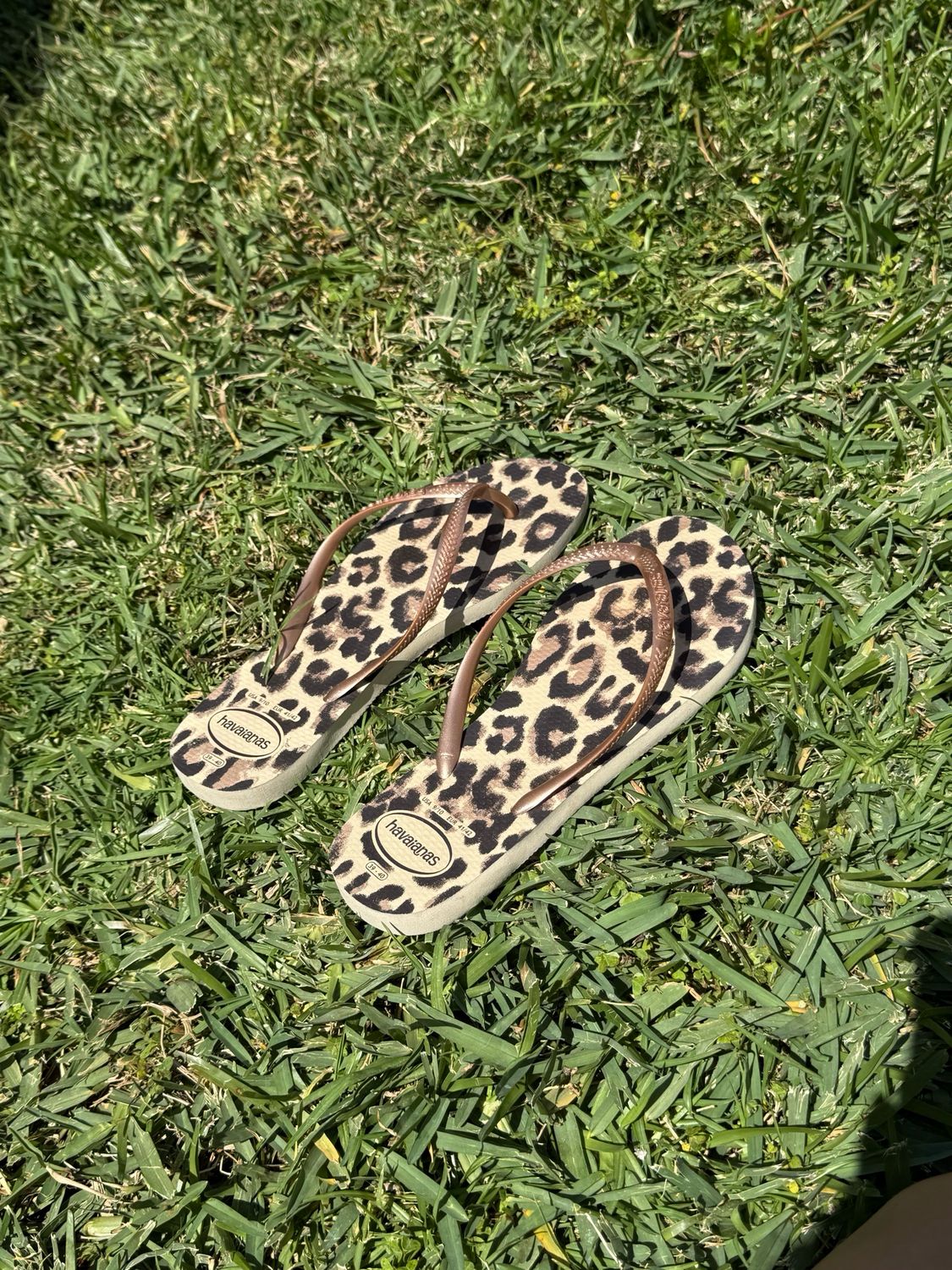 havaianas flip flops