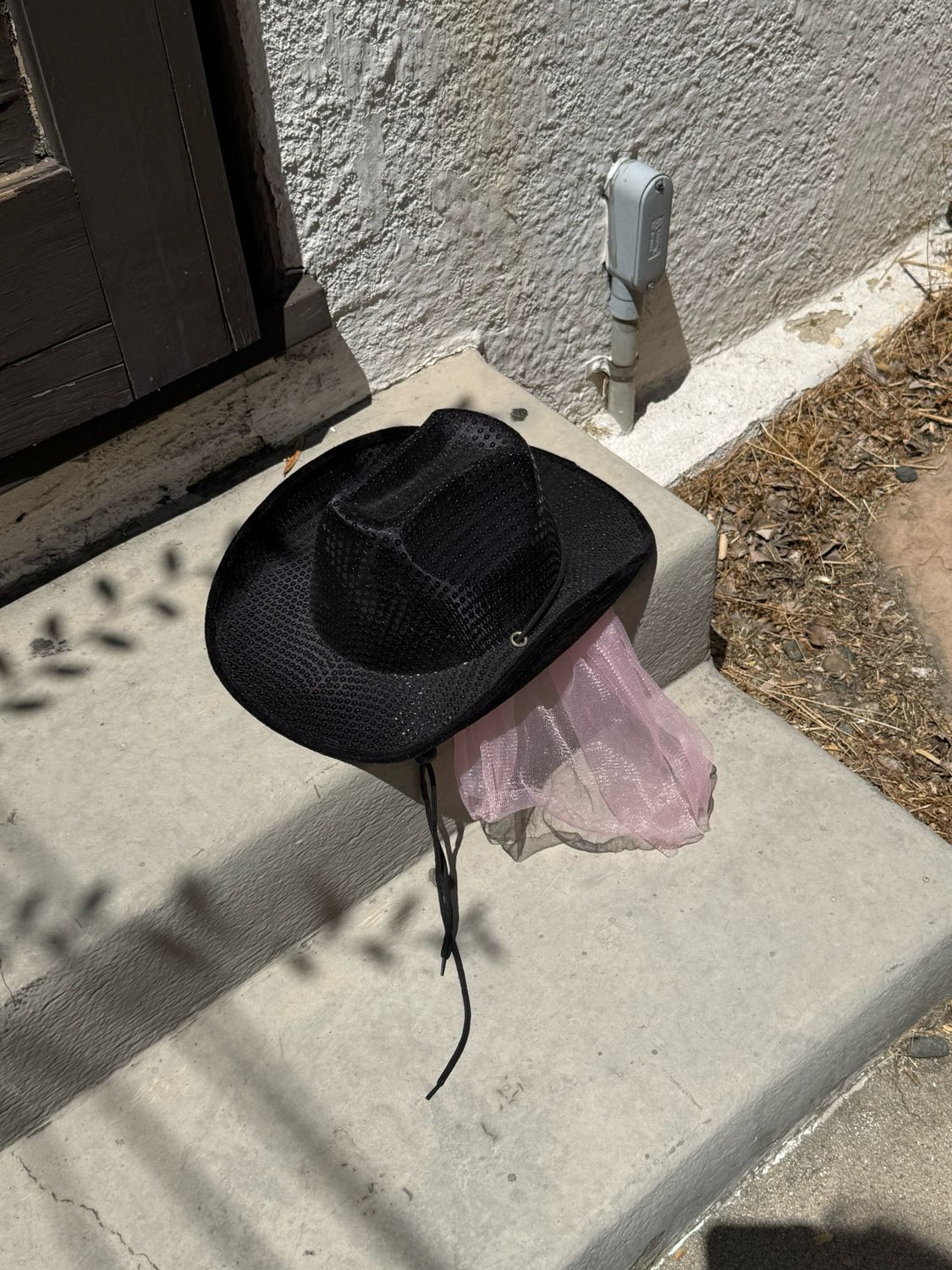 faux sequin cowgirl hat