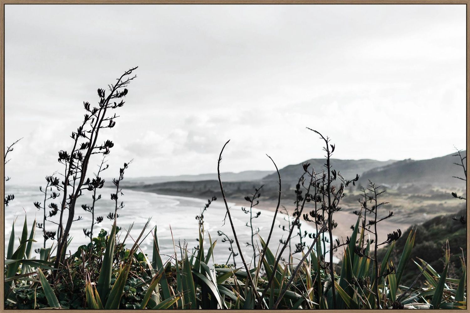 Muriwai Beach