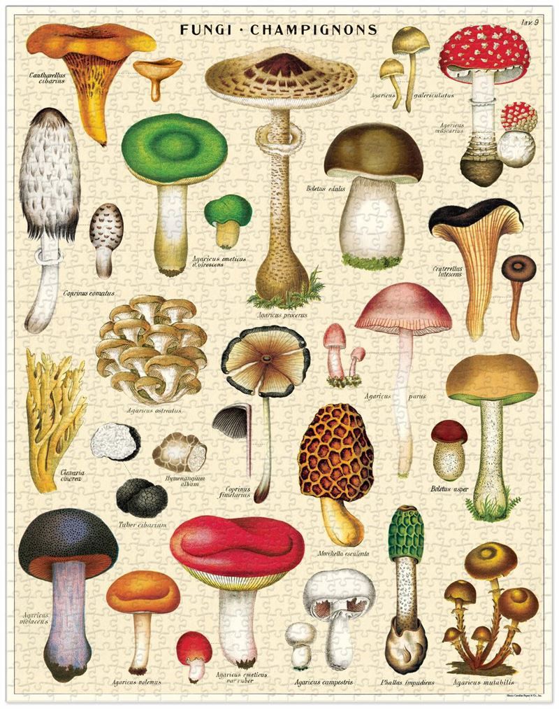 Vintage puzzle- Mushrooms 1000 Piece