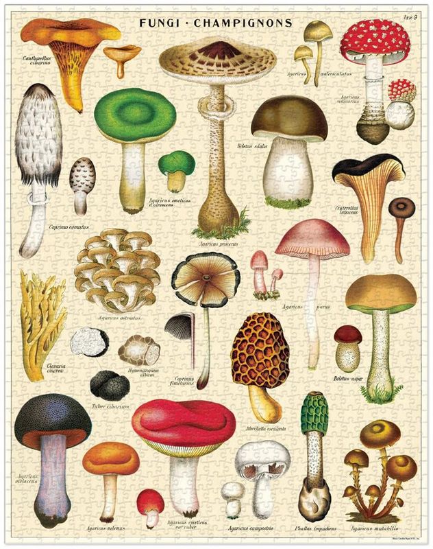 Vintage puzzle- Mushrooms 1000 Piece
