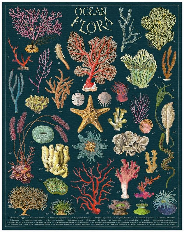 Vintage Puzzle-Ocean Flora 1000 Piece