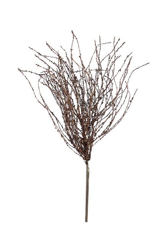 Dried look Birch Twigs