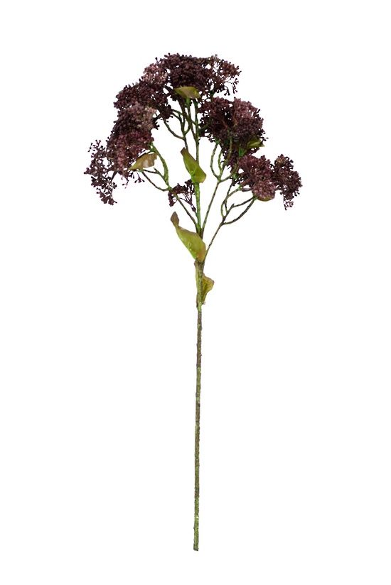 Sedum Spray Brown