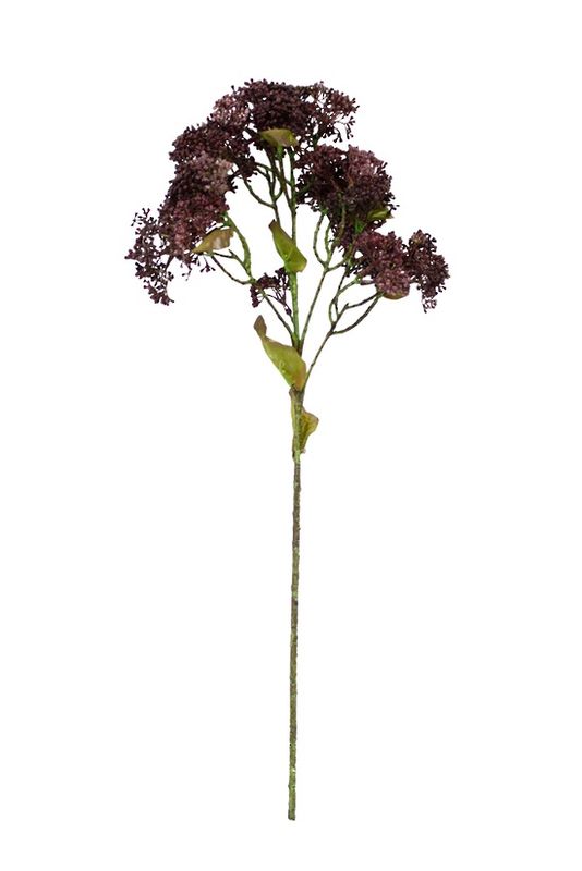 Sedum Spray Brown