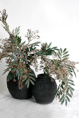 Foliage