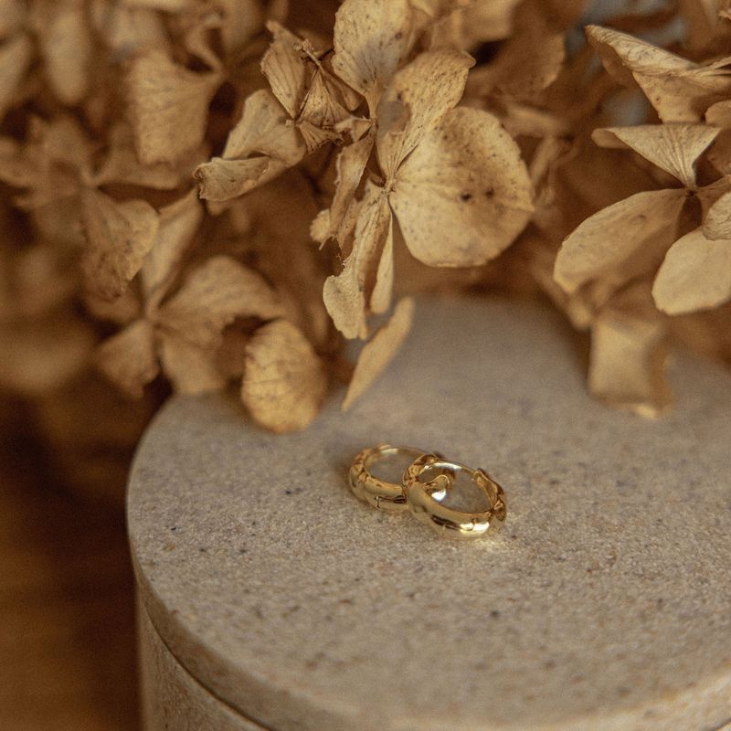 Scarlett Hoops-18k Gold Plated