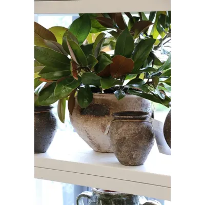 Vases, Pots &amp; Hurricanes
