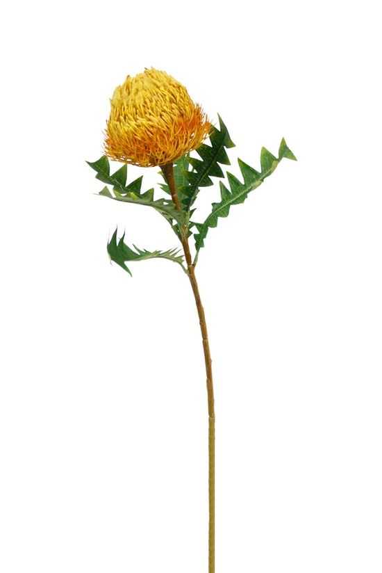 Banksia Spray 69cm