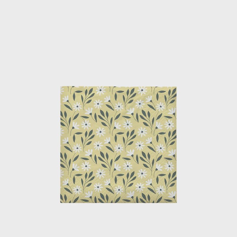 Paper Napkin Pattern
