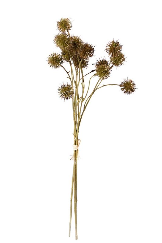 Sweet Chestnut Pod Bundle