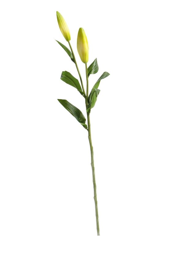 Lily Bud 72cm