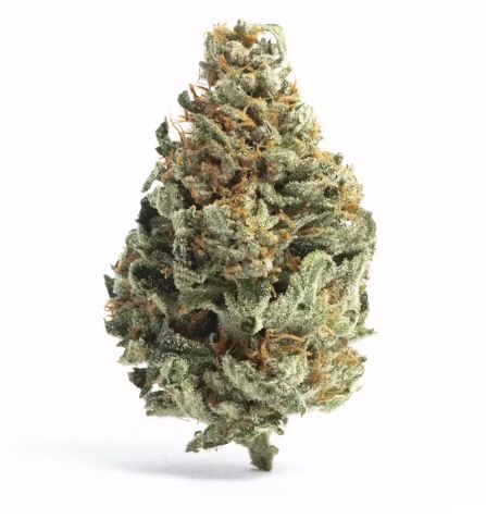 Premium THCA House Flower