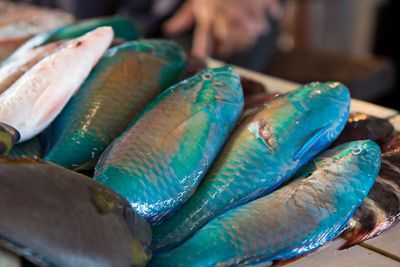 La poissonnerie
