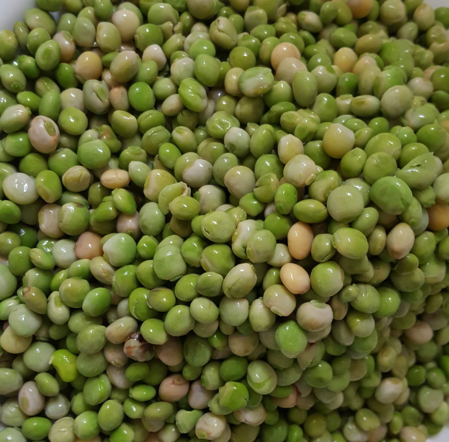 Pois d&#39;angole