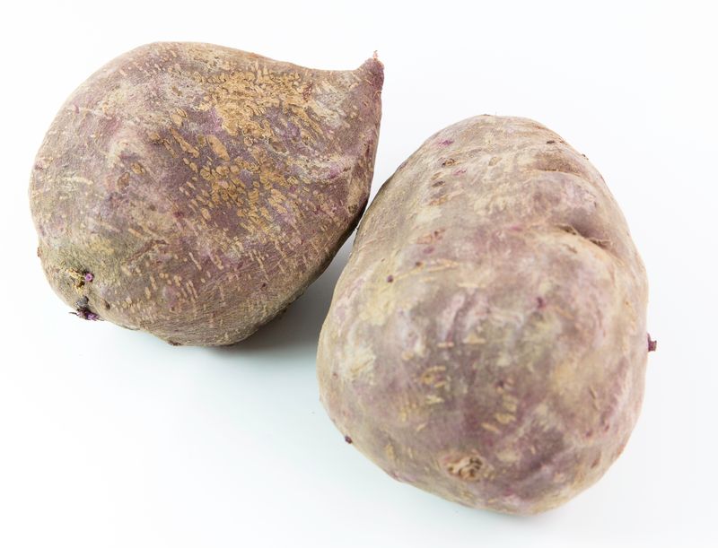 Patate Douce à Chair Violacée
