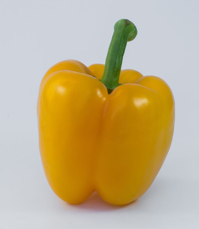 Poivron Jaune