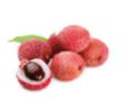 Litchi