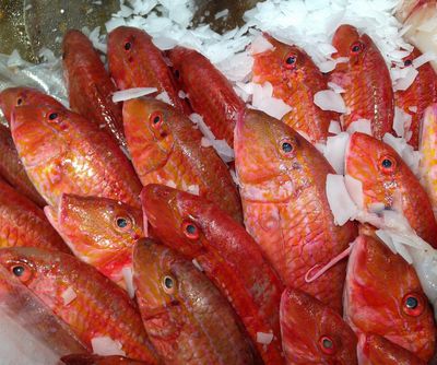 Poissonnerie