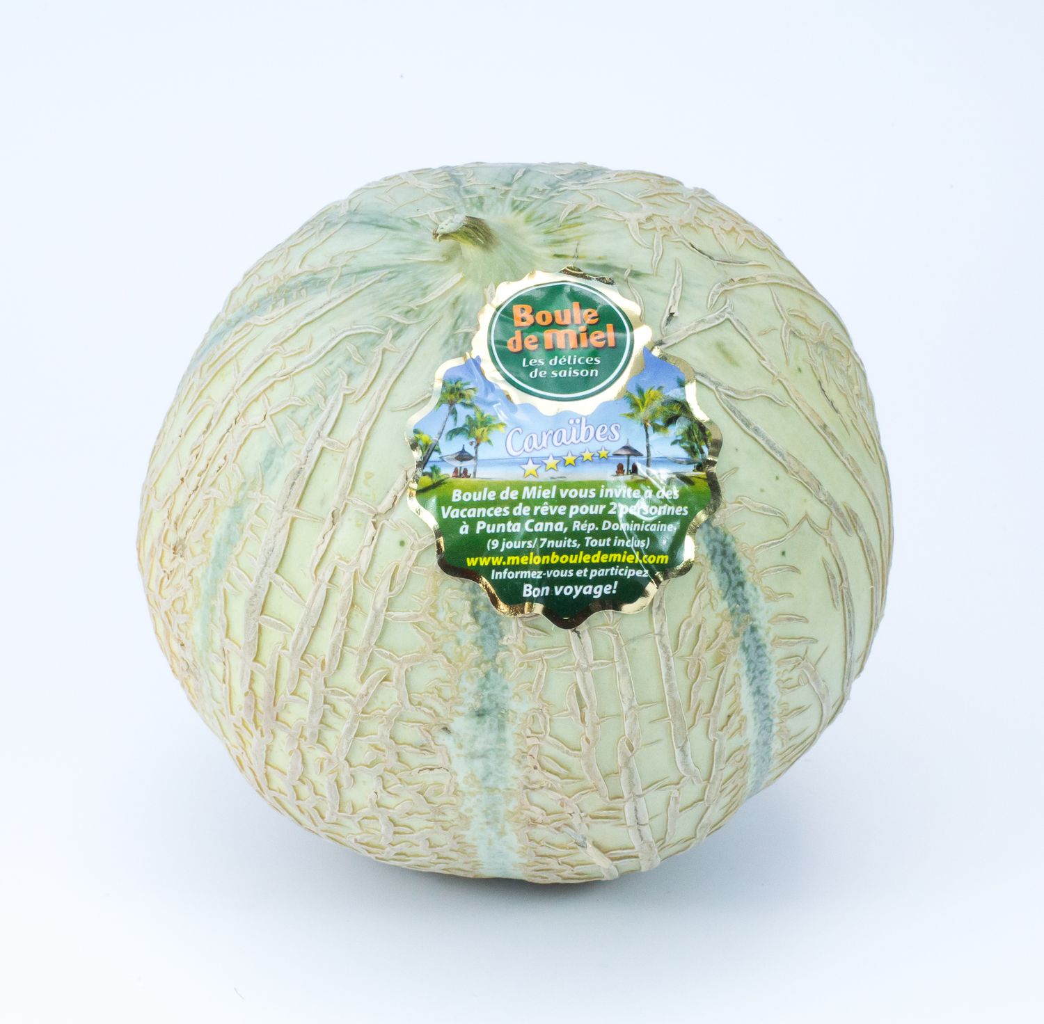 Melon jaune.