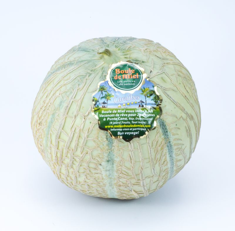 Melon jaune.