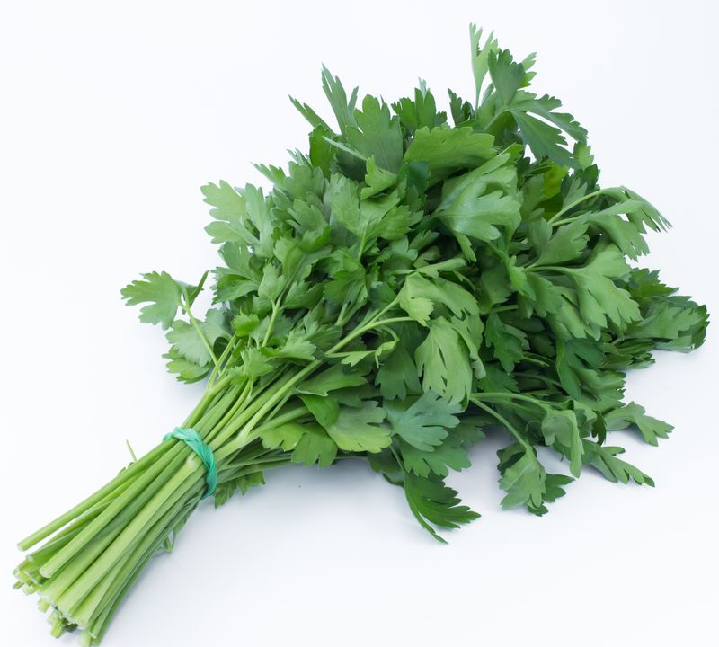 Persil Plat