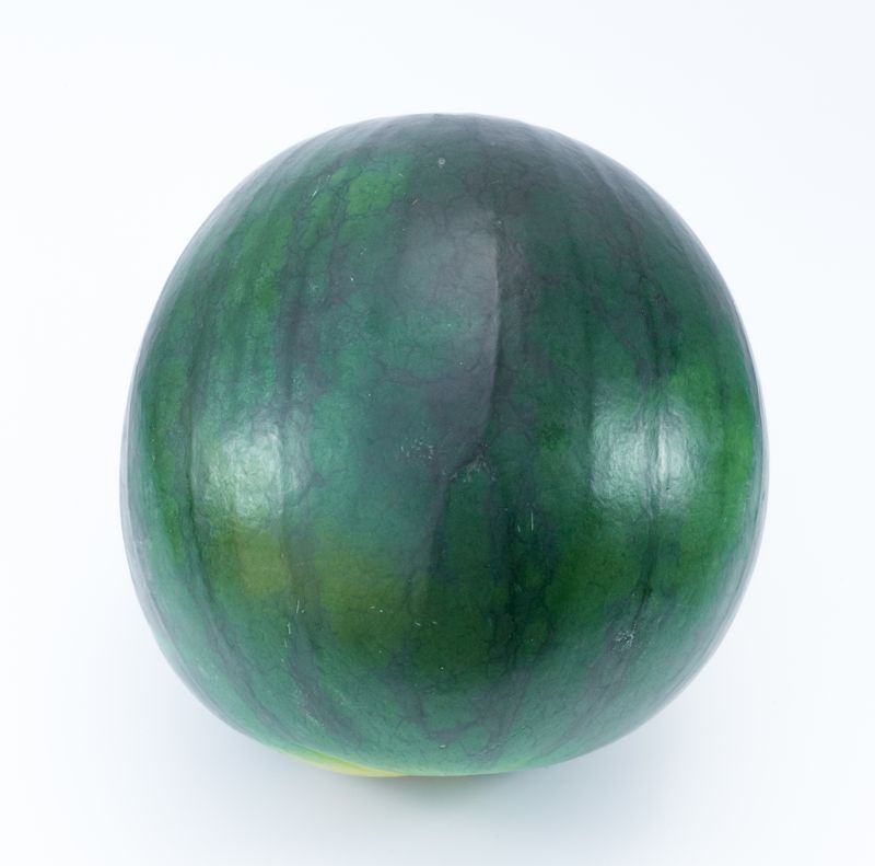 Pastèque