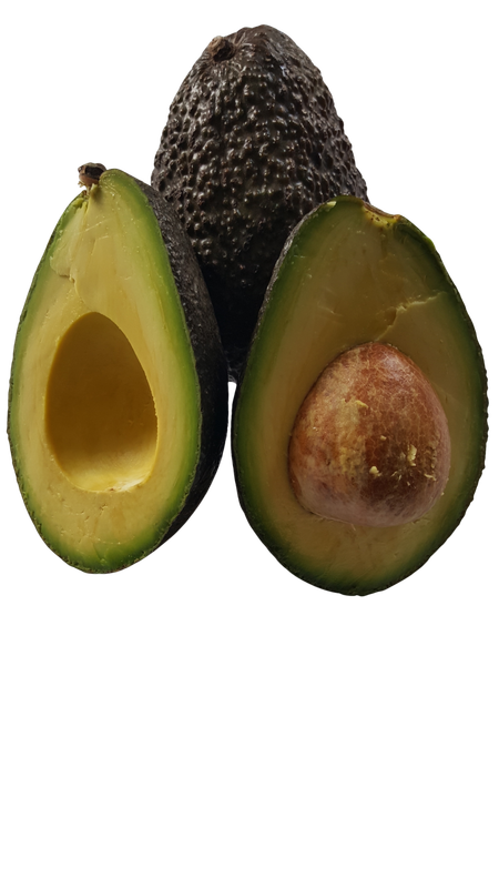 Avocat